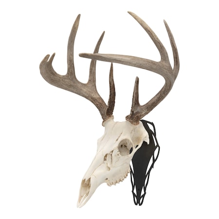 Allen Co EZ Mount Silhouette Skull Peg, Black 7233